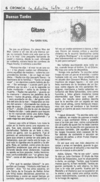 Gitano  [artículo] Sara Vial.