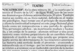 Cicatrices  [artículo] Pedro Labra.