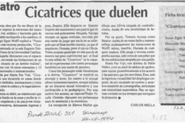 Cicatrices que duelen  [artículo] Carlos Mella.