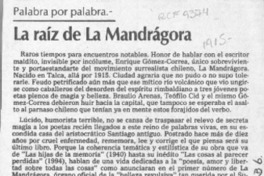 La raíz de La Mandrágora  [artículo] Marcelo Novoa.