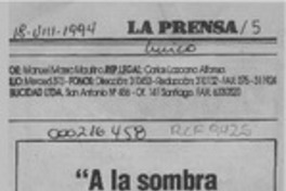 "A la sombra del sol"  [artículo] Darío de la Fuente D.