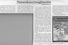 Naturaleza e imaginación  [artículo] Marino Muñoz Lagos.