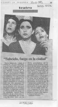"Subcielo, fuego en la ciudad"  [artículo] Pedro Labra.