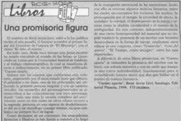 Una Promisoria figura  [artículo].