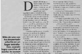 José Miguel Vallejo "No tengo tiempo para recordar a los que amo"