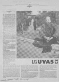 Las uvas de la Parra  [artículo] Daniela Cid.