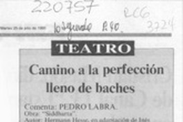 Camino a la perfección lleno de baches