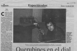 Querubines en el dial  [artículo] G. B. M.