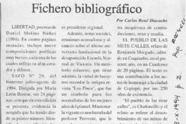 Fichero bibliográfico  [artículo] Carlos René Ibacache.
