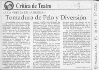 Tomadura de pelo y diversión  [artículo] Carola Oyarzún L.