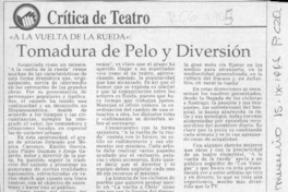 Tomadura de pelo y diversión  [artículo] Carola Oyarzún L.