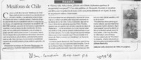 Metáforas de Chile  [artículo] Alfredo Barría M.