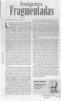 Imágenes fragmentadas  [artículo] María Ester Martínez Sanz