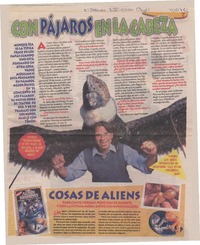 Con pájaros en la cabeza  [artículo]