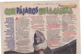 Con pájaros en la cabeza  [artículo]