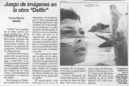 Juego de imágenes en la obra "Delfín"  [artículo] Francisca Palavecino
