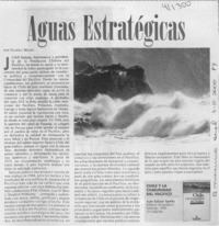 Aguas estratégicas  [artículo] Valeria Maino