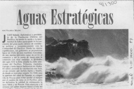 Aguas estratégicas  [artículo] Valeria Maino