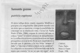 Tormento gozoso  [artículo] Patricia Espinosa