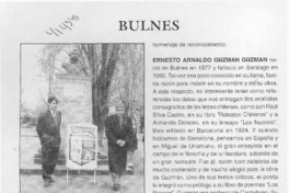 Bulnes  [artículo] CRI