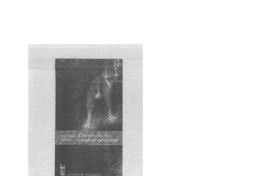 "Diario de la ciudad ardiente"  [artículo]