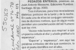 Pedazos enteros  [artículo]