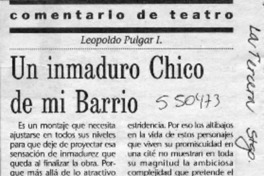 Un inmaduro chico de mi barrio  [artículo] Leopoldo Pulgar I.
