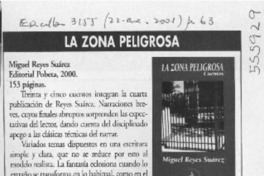 La zona peligrosa  [artículo] Paz María Aburto