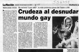 Crudeza al desnudar mundo gay  [artículo] Rigoberto Carvajal
