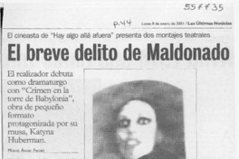 El breve delito de Maldonado  [artículo] Miguel Ángel Fredes