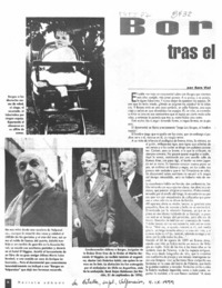 Borges tras el espejo  [artículo] Sara Vial