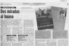 Dos miradas al huaso