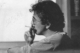 Salvajemente literario  [artículo] Soto, Hernán y Bravo, Matías