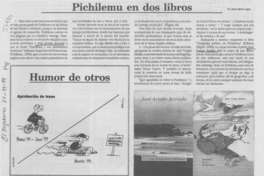 Pichilemu en dos libros