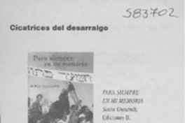 Cicatrices del desarraigo  [artículo] Alejandra Costamagna