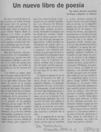 Un nuevo libro de poesía  [artículo] Silvia Mezzano Lopetegui
