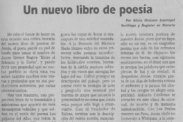 Un nuevo libro de poesía  [artículo] Silvia Mezzano Lopetegui