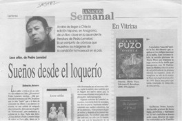 Sueños desde el loquerío  [artículo] Roberto Amaro