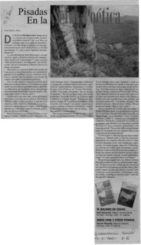 Pisadas en la selva poética  [artículo] Jéssica Atal