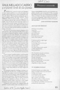 Raúl Mellado Castro  [artículo] Juan Antonio Massone