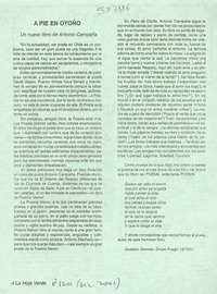 A pie en otoño  [artículo] Gustavo Donoso