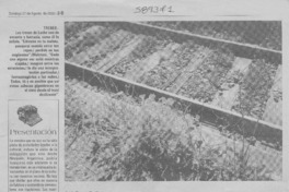 Nos trajo sus "Trenes de encanto y fantasía"  [artículo] Patricia Orellana