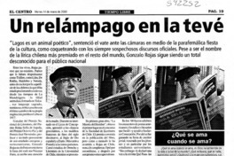 Un relámpago en la tevé  [artículo]
