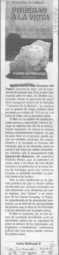 Pruebas a la vista  [artículo] Carlos Maldonado R.