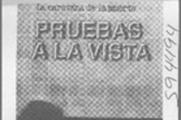 Pruebas a la vista  [artículo] Carlos Maldonado R.