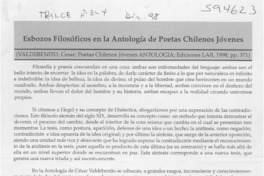 Esbozos filosóficos en la Antología de Poetas chilenos jóvenes  [artículo] María José Etcheverry Iturra