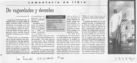 De vaguedades y desvelos  [artículo] Iván Quezada E.