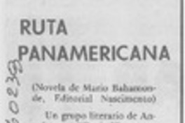 Ruta panamericana