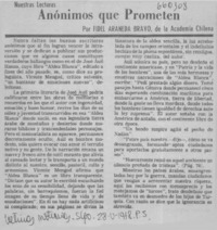 Anónimos que prometen  [artículo] Fidel Araneda Bravo.