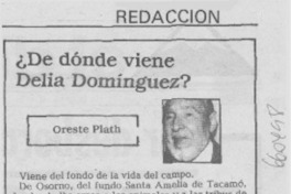 ¿De dónde viene Delia Domínguez?